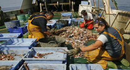 Clasificación de capturas a bordo de un pesquero en el puerto de Castellón.