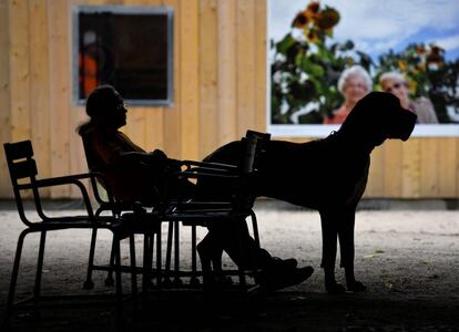 Um homem e seu cão descansam nos jardins do Palácio Real de Paris (França).