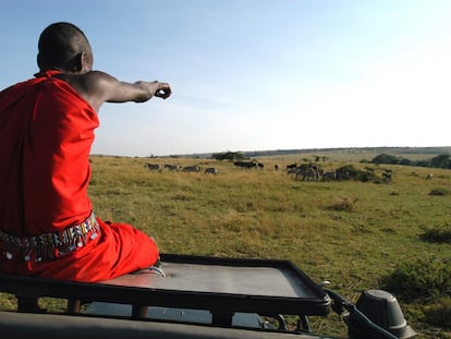 Un safari en el Parque Nacional del Serengueti en Tanzania.