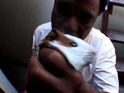 El maestro andino, don Jorge, bendiciendo un conejo con el que limpiara el cuerpo de su paciente