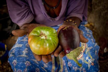 Las ajadas manos de Jacqueline enseñan un tomate y una berenjena de su huerta. Las legumbres y la fruta han diversificado la alimentación de los niños, pero siguen sin tener acceso a muchos alimentos adecuados para su crecimiento de un niño. La malnutrición persiste.