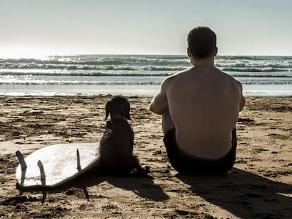 Momentos de amor, por Miguel Ángel Silvestre