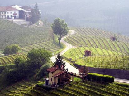 Paisaje de colinas y viñedos en las cercanías de Barolo, en Piamonte (Italia).