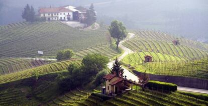 Paisaje de colinas y viñedos en las cercanías de Barolo, en Piamonte (Italia).