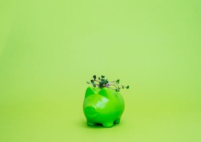 Green piggybank with green seedling.