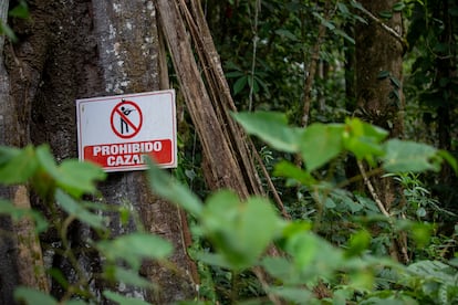 Un letrero en la selva amazónica.