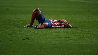 Tiago, tendido sobre el césped.