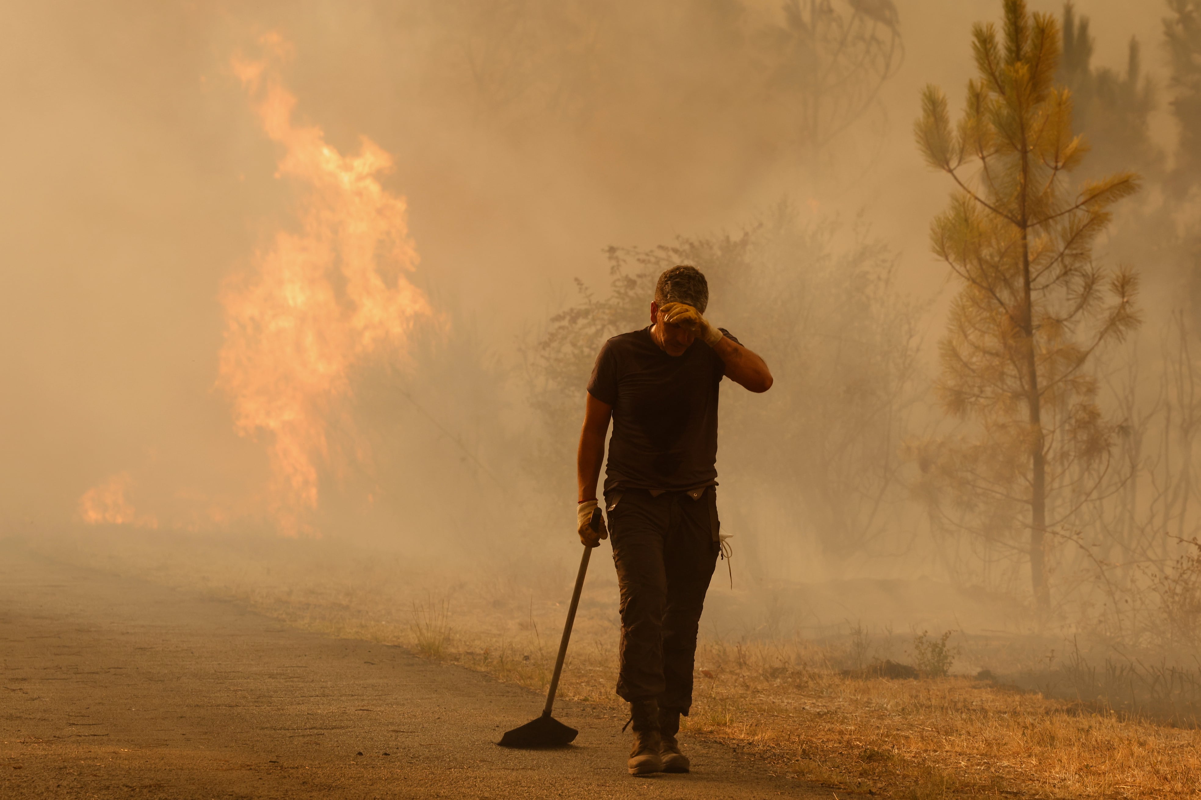 Los incendios se ceban con Zamora, León y Ourense y desbordan a las autoridades