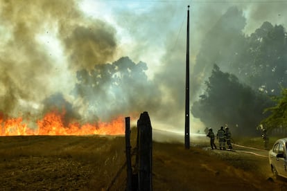 incendios forestales en Chile