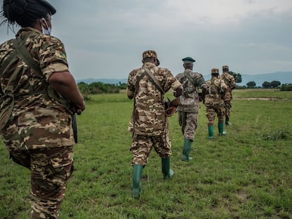 Con disciplina militar, los guardabosques patrullan en fila india, sin hacer ruidos fuertes, atentos a todos los detalles.