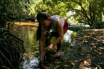 Marleny siembra un mangle a orillas del canal. Junto con otras mujeres, se ha convertido en guardiana de este ecosistema.