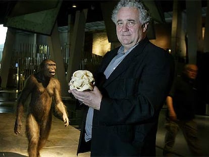 Jorge Wagensberg muestra el cráneo Dmanisi (Georgia), presentado en CosmoCaixa el año pasado.