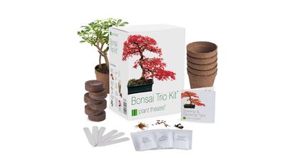 Kit de germinación de bonsáis de Plant Theatre