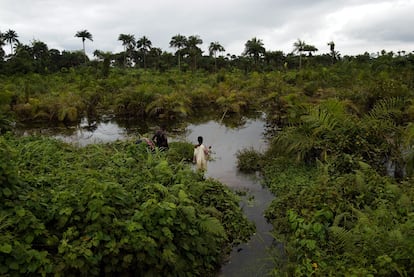 Liberia