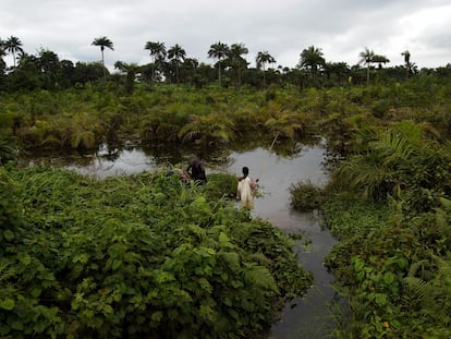 Unos niños pescan en el río Po, en Liberia, en agosto de 2003