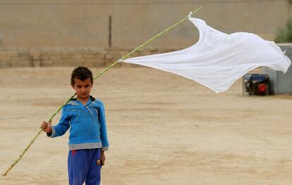 Un niño iraquí que ha sido desplazado del municipio de Abu Shuwayhah, al sur de Mosul en la zona controlada por los yihadistas, camina llevando consigo una bandera blanca mientras los habitantes vuelven a sus hogares tras la llegada de las fuerzas iraquíes, en Mosul (Irak).