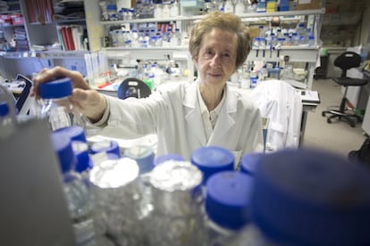 La científica, calificada por el CSIC como 'una de las mayores científicas españolas del siglo XX', ha utilizado sistemáticamente su visibilidad pública para promover la investigación y fomentar la participación de las mujeres en la ciencia. En la imagen, Salas retratada en su laboratorio en 2015.
