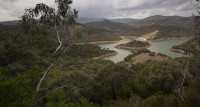 Finca La Almoraima, en Castellar de la Frontera, Cádiz.