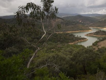 Finca La Almoraima, en Castellar de la Frontera, Cádiz.