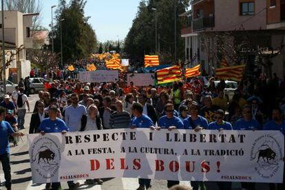 Multitudinaria manifestaci&oacute;n en las calles de Amposta de los protaurinos.