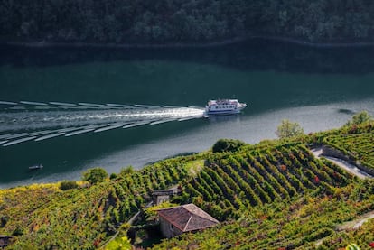 Un crucero turístico navega entre los cañones del río Sil, en la Ribeira Sacra.