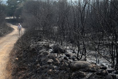 Un hombre camina por un sendero en la localidad de Carucedo, en la comarca leonesa de El Bierzo, este lunes.