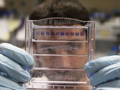 Un investigador del CSIC.