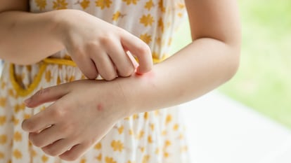 Artículo de EL PAÍS Escaparate sobre parches antimosquitos para niños.