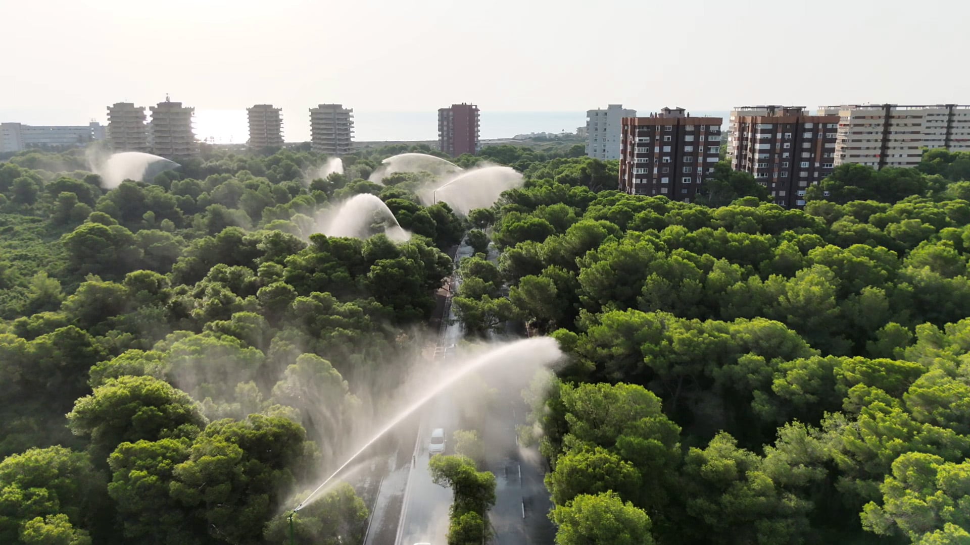 Los cañones de agua en funcionamiento esta semana en el parque natural de la Devesa de El Saler, en Valencia, ante el riesgo extremo de incendios forestales.