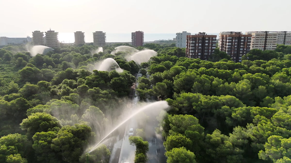 De la pirojardinería a los cañones de agua: así se defienden las zonas pobladas de los incendios forestales | Clima y Medio Ambiente