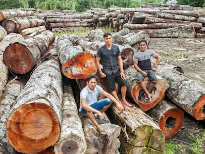 Rosilei Barbosa Pimentel (centro), junto a dos compañeros en una de las explotaciones situadas en Verde Para Sempre.