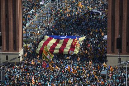 La Diada d'aquest any.