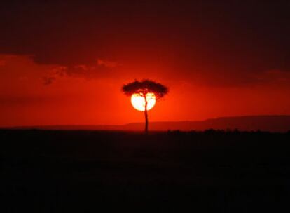 Puesta de sol en el Parque Nacional Masai Mara de Kenia