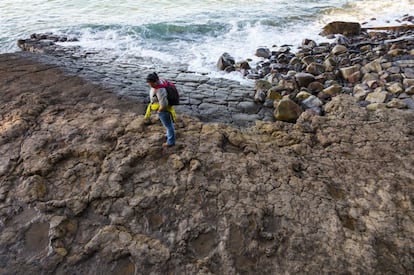 En pleamar, las olas casi besan las huellas de dinosaurios situadas en la playa de La Griega, en Colunga (Asturias).