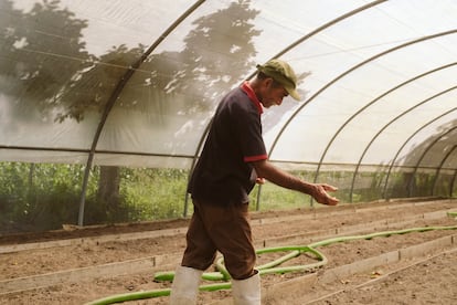 Francisco Lazo trabaja en las estructuras para cultivar tabaco.