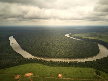 Deforestación en la zona del río dos Peixes, en Brasil.