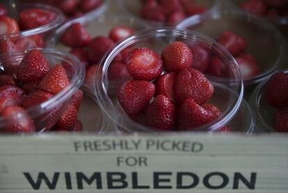Las tradicionales fresas del campeonato a la venta durante el torneo de Wimbledon.