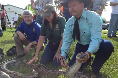 Varios miembros de la autoridad forestal de Florida sostienen una pit&oacute;n.  