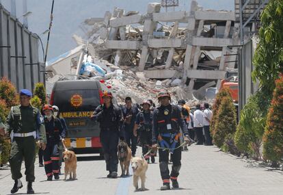 Una unidad policial de búsqueda K9 se incorpora a las operaciones de rescate en el Hotel Roa-Roa en Palu (Indonesia).