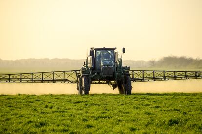 No proteger los cultivos podría provocar unas pérdidas del 80% en la capacidad de producción, según estimaciones de la FAO.