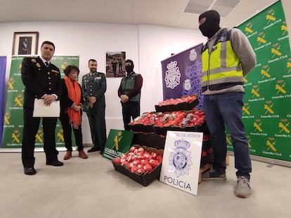 Hachís intervenido como falsos tomates en la Operación Califa Trucks, en presencia de las autoridades y los agentes de la Guardia Civil y la Policía Nacional.