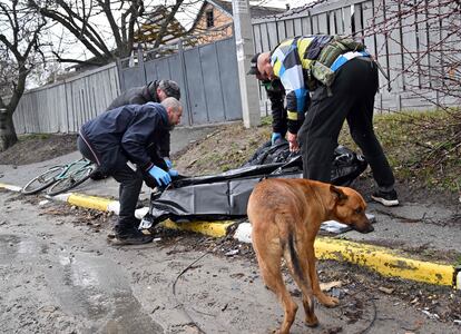 El perro que aguardaba junto al cuerpo de Volodímir Brovchenkon reacciona cuando unos operarios retiran el cadáver de la calle Yablonska, en Bucha, el 3 de abril de 2022. EE UU y los líderes de la OTAN han mostrado su conmoción y horror tras las evidencias de atrocidades contra civiles cometidas por las tropas rusas en Ucrania. Bucha, y en particular la calle Yablonska, son el gran símbolo de esas atrocidades. 