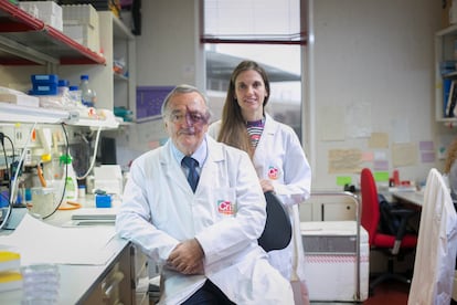 Mariano Barbacid y Meritxel Rovira, dos generaciones de investigadores contra el cáncer de páncreas.