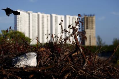 Buildings are seen behind dying plants in Cancun, August 12, 2015. Cancunâ€™s transformation in the 1970s from a small Caribbean fishing village into a strip of nightclubs and high-rise hotels has reduced biodiversity and polluted water resources as infrastructure struggles to keep up.  REUTERS/Edgard GarridoPICTURE 16 OF 34 FOR WIDER IMAGE STORY 'EARTHPRINTS: CANCUN'SEARCH 'EARTHPRINTS CANCUN' FOR ALL IMAGES