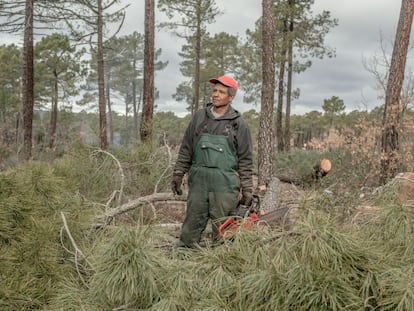 Los montes son una de las fuentes de riqueza de esta comarca. Los trabajos relacionados con el bosque mantienen a muchos de los castellanomanchegos que la pueblan. La tala, las serrerías, el negocio de la resina y otros relacionados son fundamentales para estos pueblos. Cerca en la memoria de los que allí viven, aunque ya se van a cumplir 10 años, está el incendio que en la cercana Riba de Saélices acabó con la vida de 11 personas y con 4.500 hectáreas de bosque el verano de 2005.