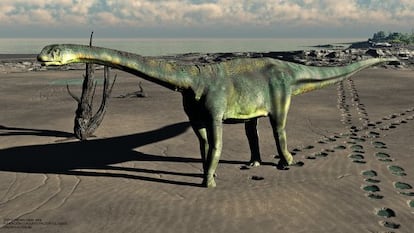 Reconstrucción del aspecto del dinosaurio 'Turiasaurus riodevensis' tras el hallazgo del cráneo.