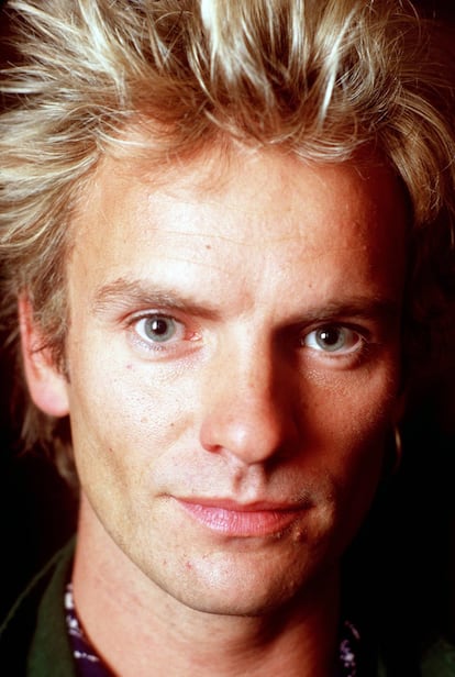 El músico y actor Sting, fotografiado en 1989.