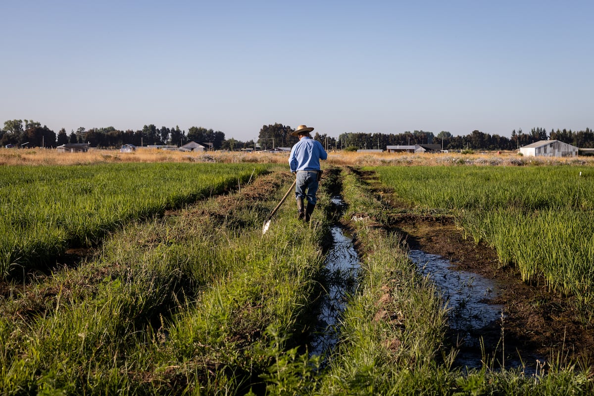 Migrantes en el agro: una realidad que no podemos ignorar