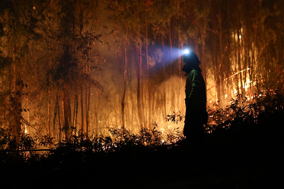 Los fallecidos por el megaincendio de Chile aumentan a 20 y los damnificados a más de 7.200