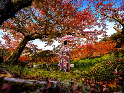 Una mujer vestida con el tradicional kimono japonés en medio de un jardín en Japón en pleno otoño.